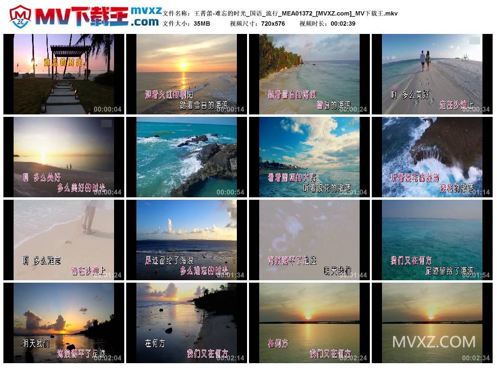 王菁蕾-难忘的时光_国语_流行_MEA01372